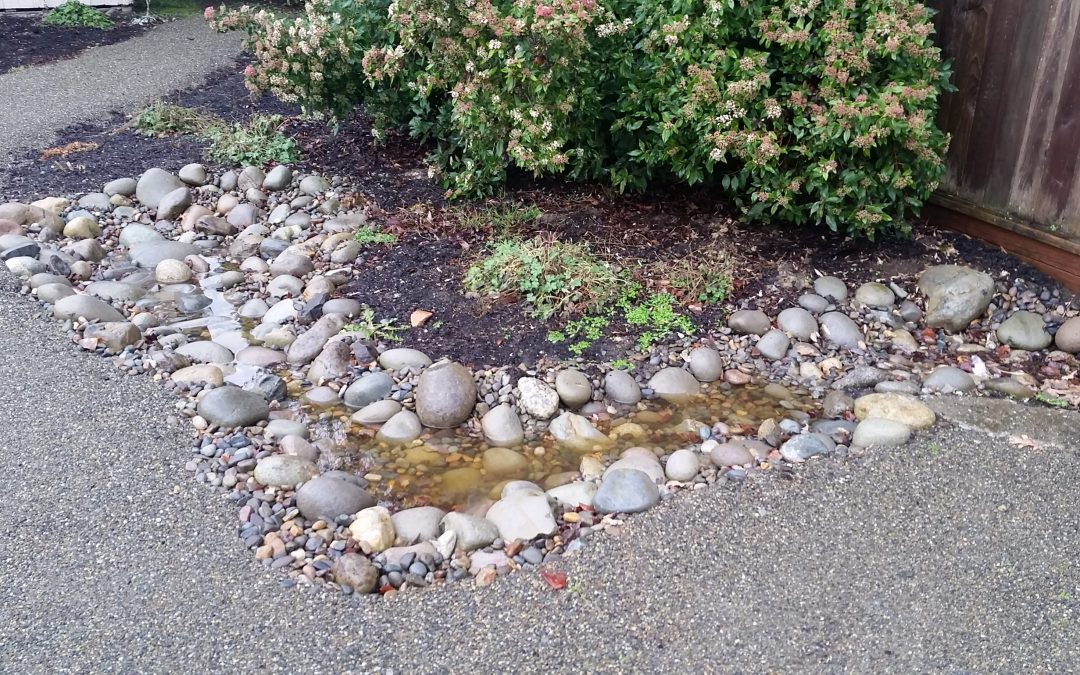 Permeable Pavers, Rain Gardens and Storm Water Retention Systems